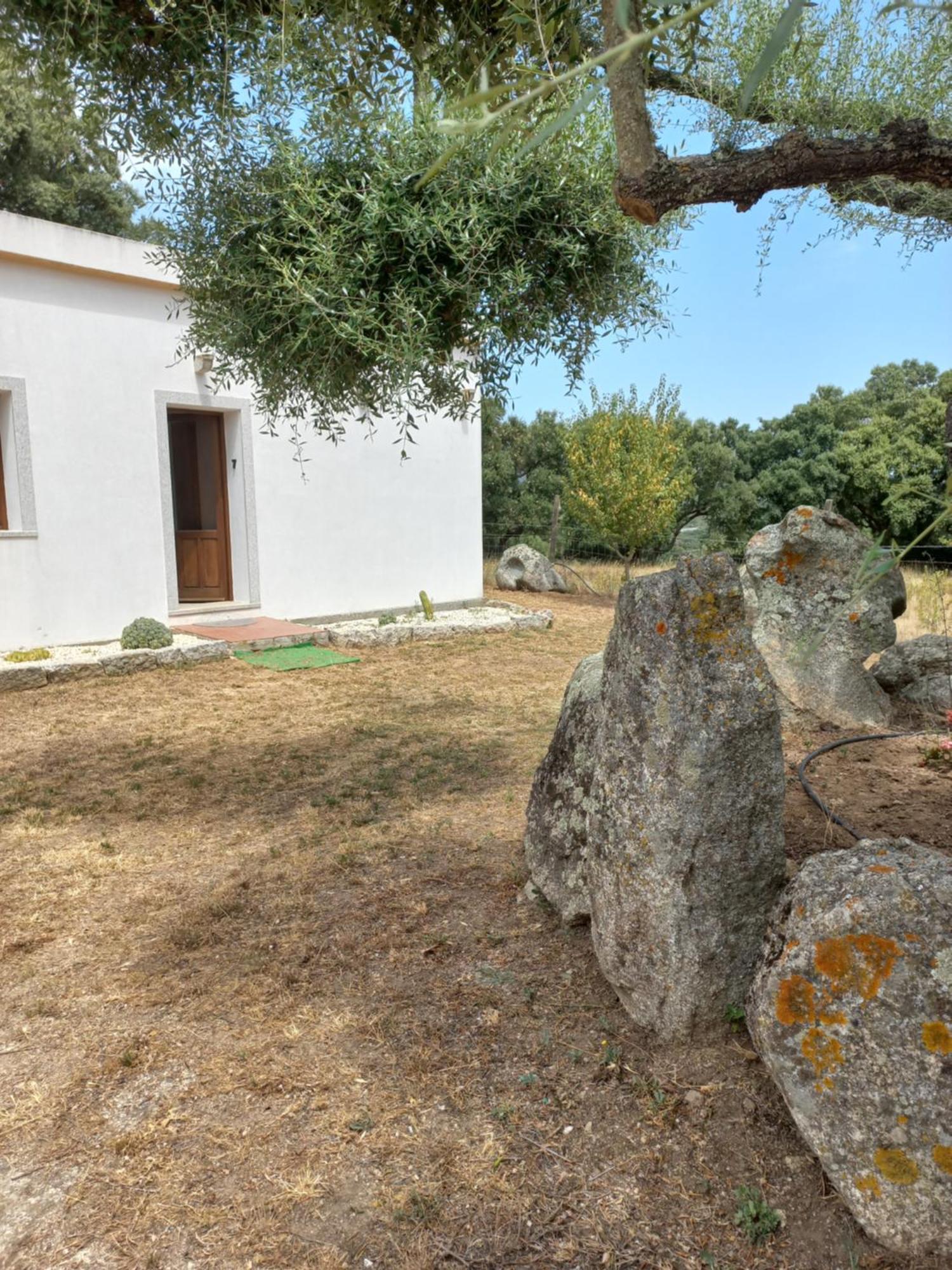 Chicchiritanos Bed & Breakfast Monti Dış mekan fotoğraf